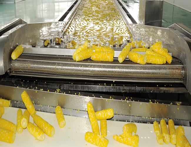 糯玉米、甜玉米加工生產(chǎn)流水線